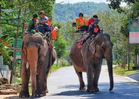 Tour Du Lịch Tây Nguyên 5 Ngày 4 Đêm Từ Hà Nội